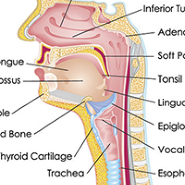 Vocal Function Lab Logo