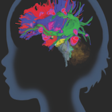 Institute for Learning & Brain Sciences Logo