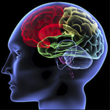 Motor Speech and Cognitive Disorders Lab
